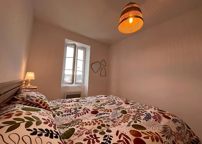 Lumineux 3 Pieces Pres Des Halles Et De La Plage, Wifi, Clim, Parkings Proches - Fr-1-239-910